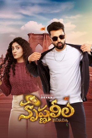 Krishna Leela (2025) Hindi (MULTI AUDIO) – –